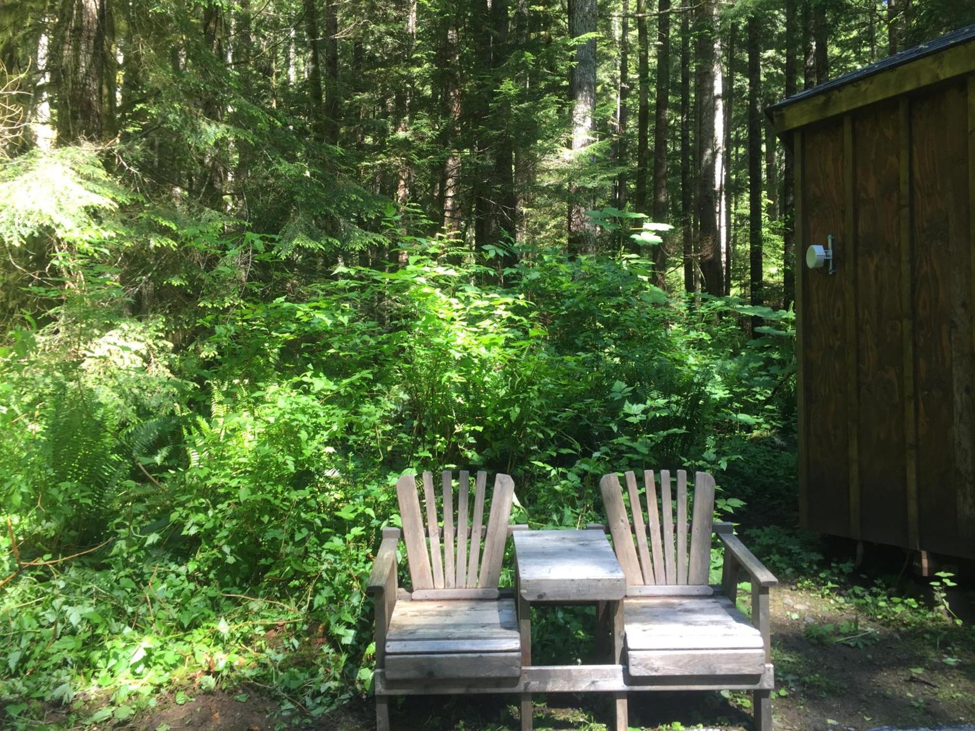 Alexander'S Lodge Ashford Luaran gambar